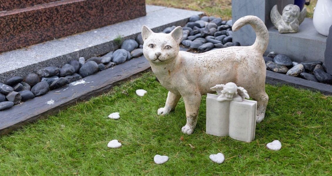 Соьгодні можна зробити фотоальбом зі знімками тварини, починаючи з моменту її народження Соьгодні можна зробити фотоальбом зі знімками тварини, починаючи з моменту її народження