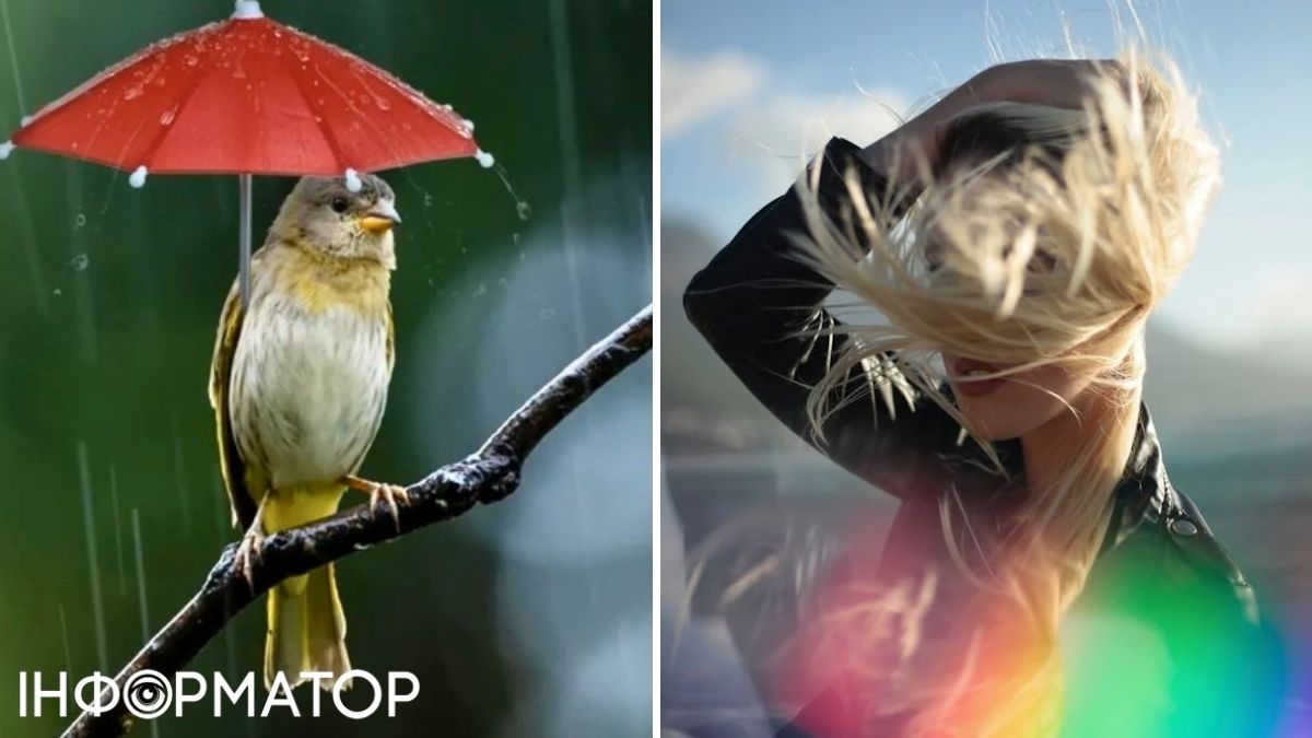 Вітер та пташка