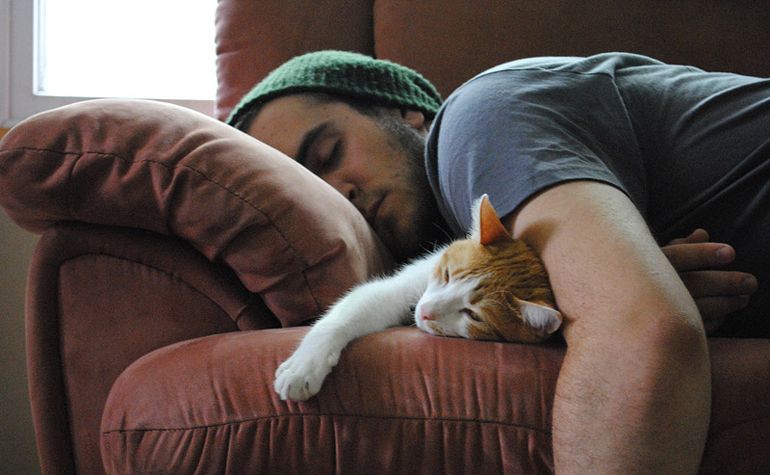 Нейрони під час сну не тільки повертають до минулого досвіду, а й заглядають у майбутнє. Нейрони під час сну не тільки повертають до минулого досвіду, а й заглядають у майбутнє.