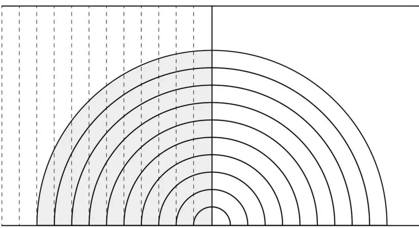 Если разрезать лук вдоль и поперек, посередине получатся прекрасно ровные квадратики, но когда вы приближаетесь к краям, формы получаются все более растянутыми и вытянутыми.