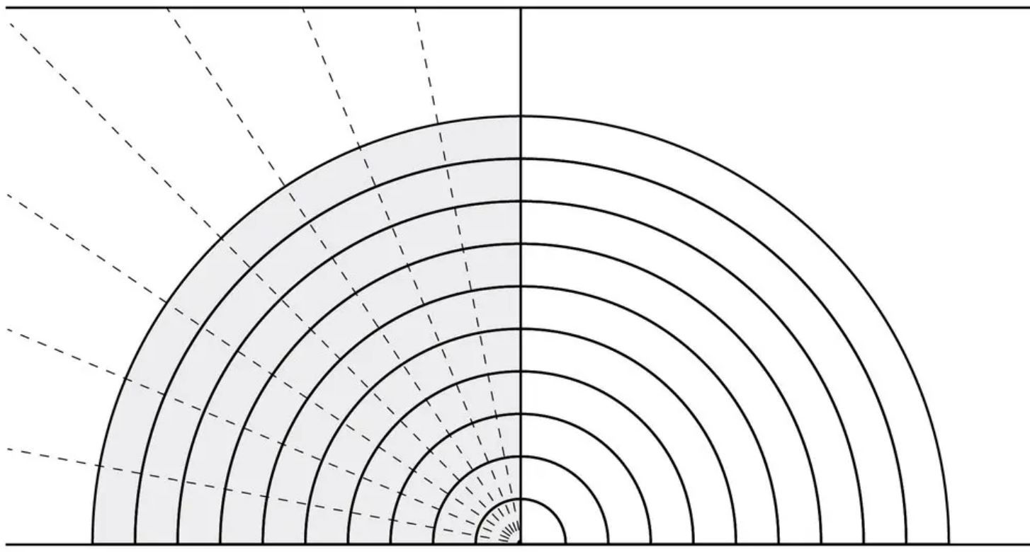 Разрезы, направленные к центральной точке, выглядят следующим образом. Для "радиального" или "лионского" разреза рекомендуется держать нож под углом к ​​центру луковицы.