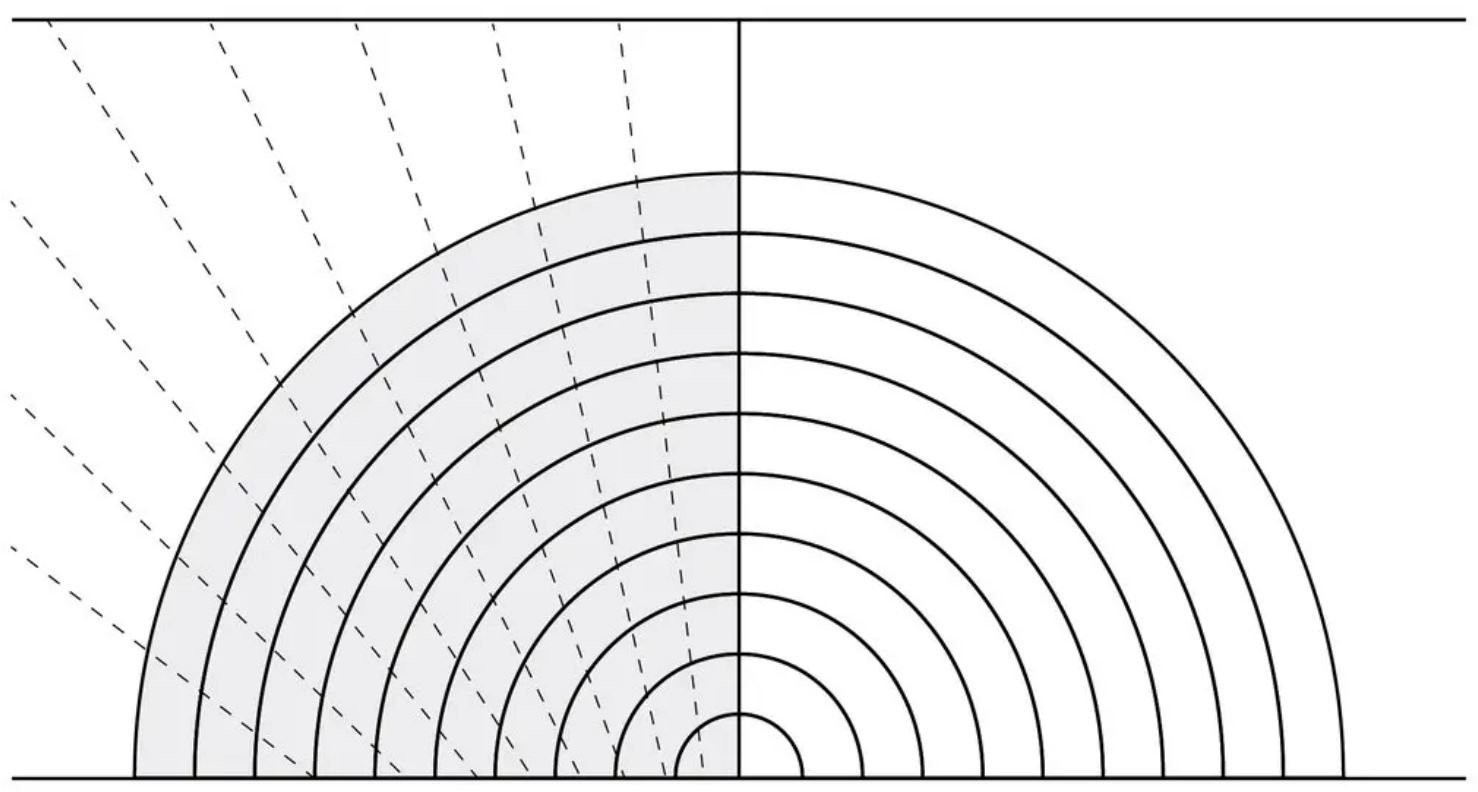 Чертечко разрезанной пополам луковицы с пунктирными линиями, представляющими разрезы, направленные в воображаемую точку под поверхностью доски.