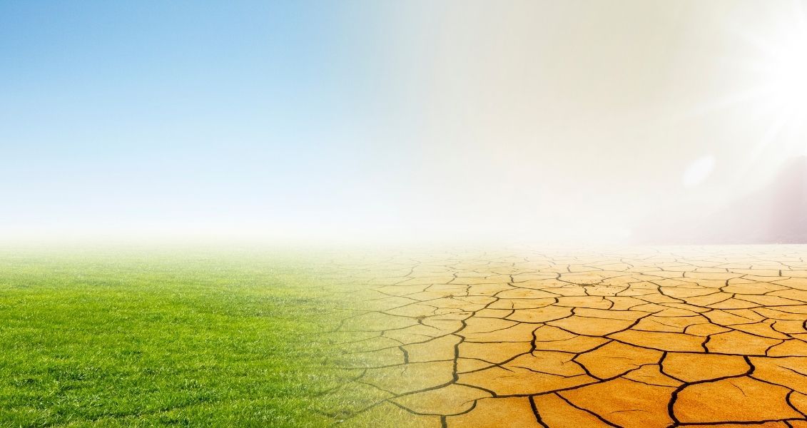 Ми безповоротно втрачаємо 12 мільйонів гектарів земельних ділянок на рік. Серед них близько 75 мільйонів тонн – родючі ґрунти