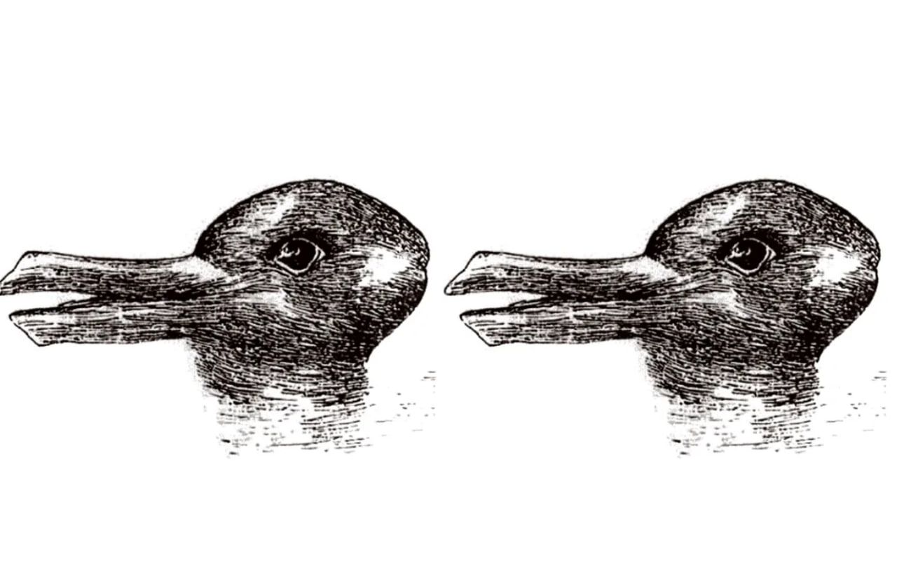 Насправді, тут обидві тварини. Насправді, тут обидві тварини.