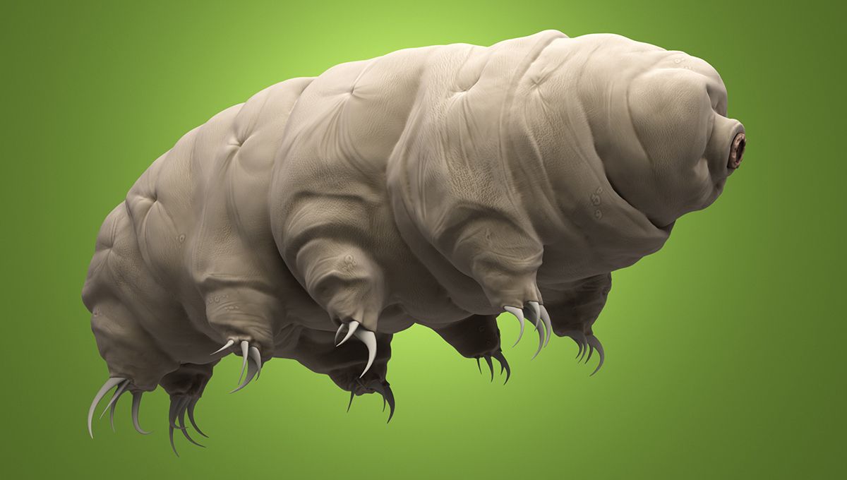 есть даже предположение, что они могут жить на Луне.