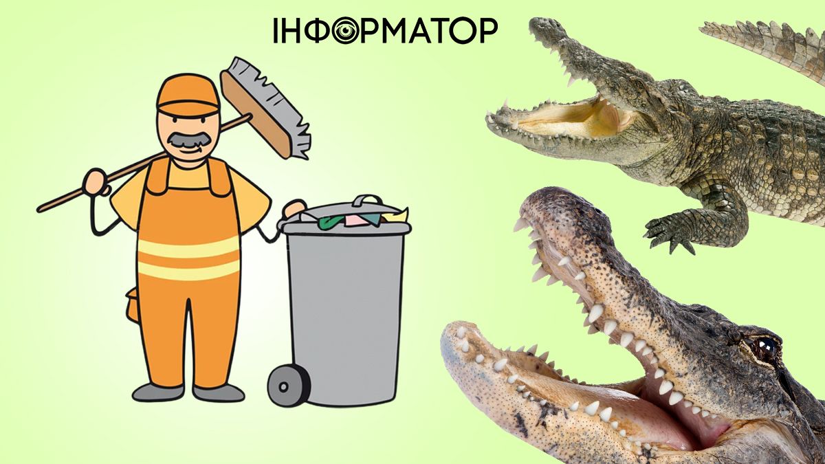 колаж