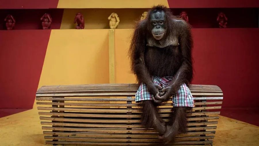 Зображення Ааронома Гекоскі було вибрано з більш ніж 11 000 робіт від 2600 фотографів