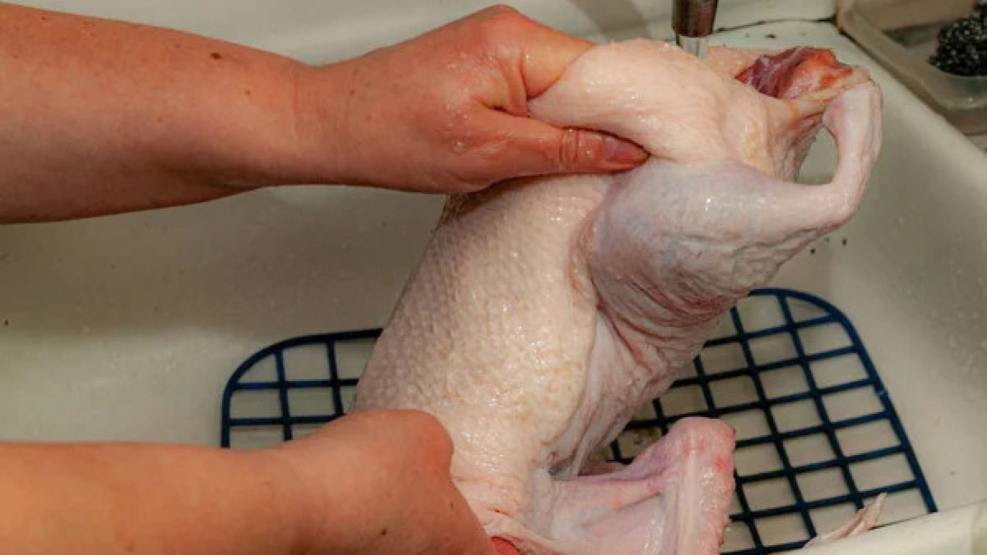 Микробы все равно не смоешь, а вот распространить их повсюду - легко. Микробы все равно не смоешь, а вот распространить их повсюду - легко.