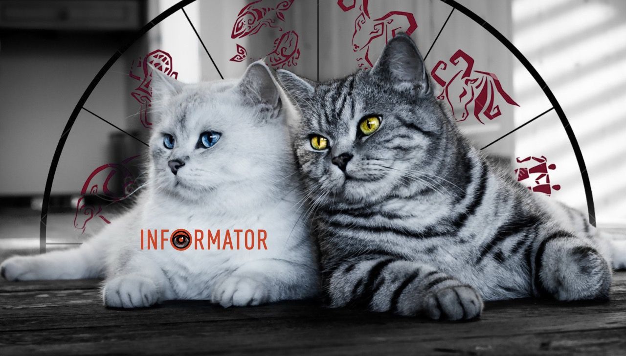 Гороскоп на 19 червня 2024 року