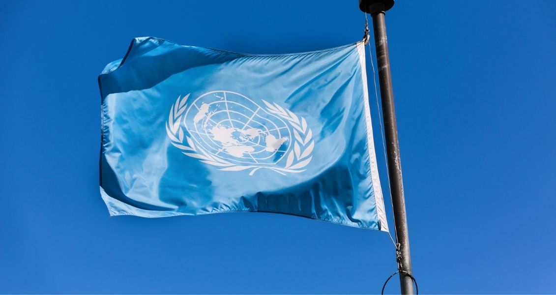 Подію започаткувала сама Організація Об’єднаних Націй у грудні 2002 року