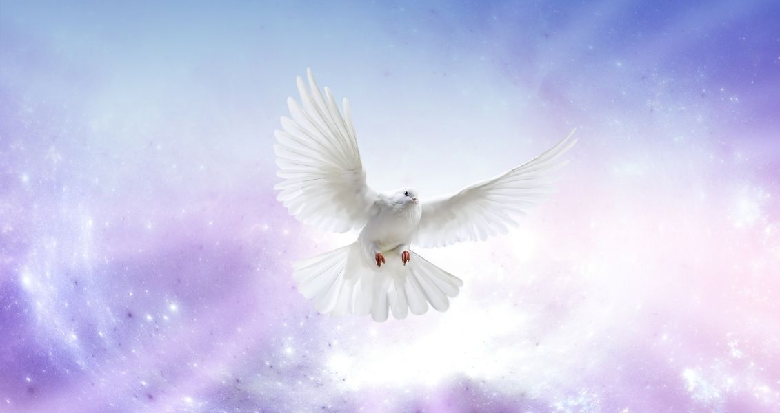 Також під час свята заборонено турбувати землю, працювати, шити, прибирати та ходити на кладовище