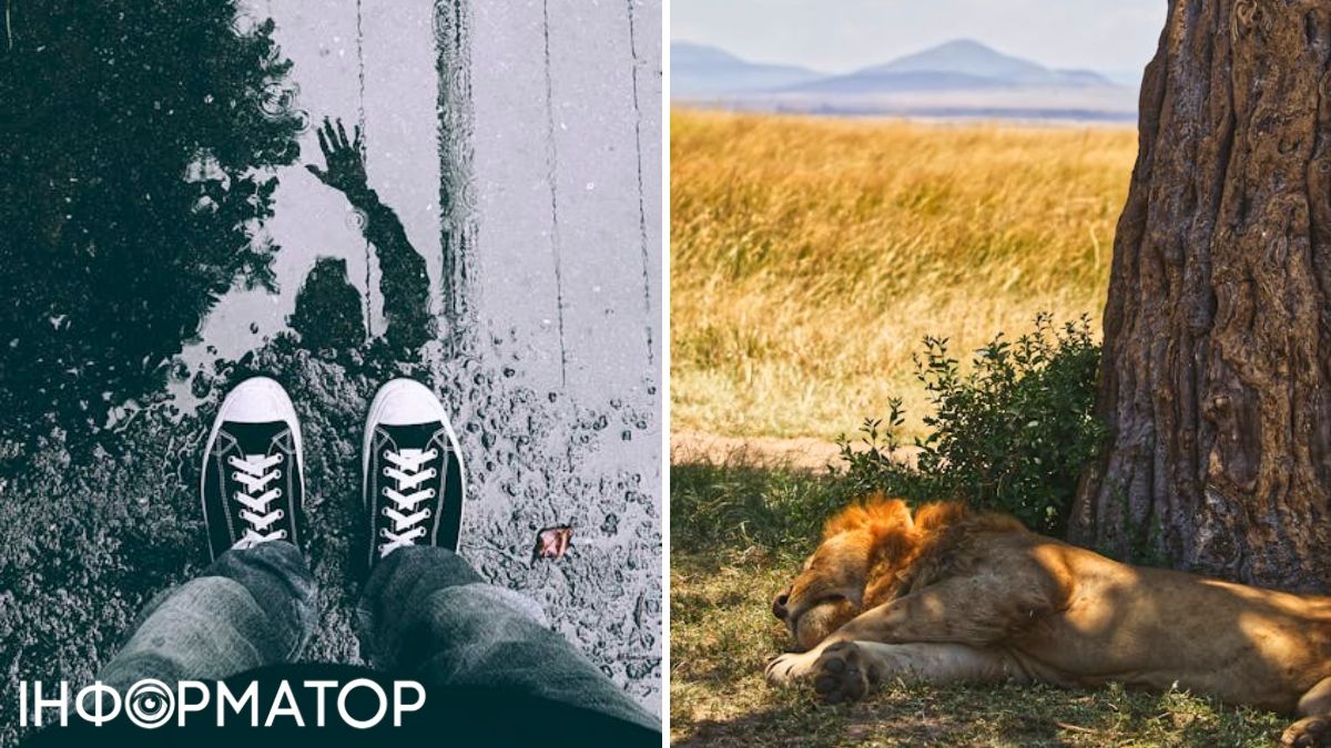 Дождь и солнце