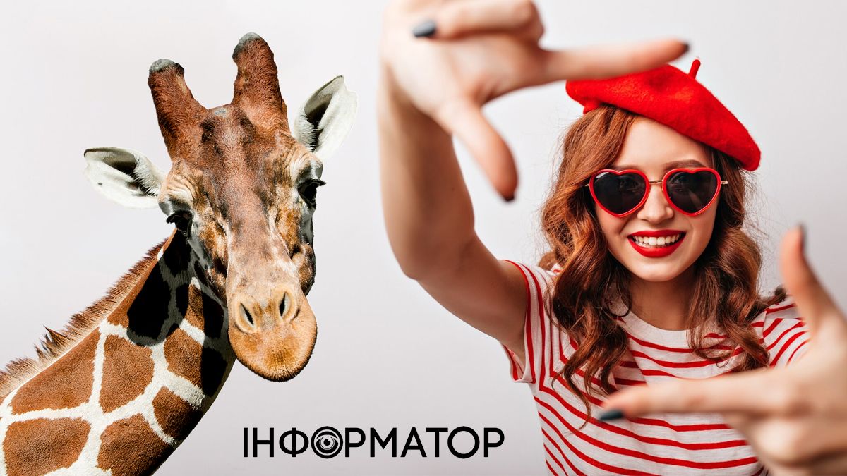 колаж