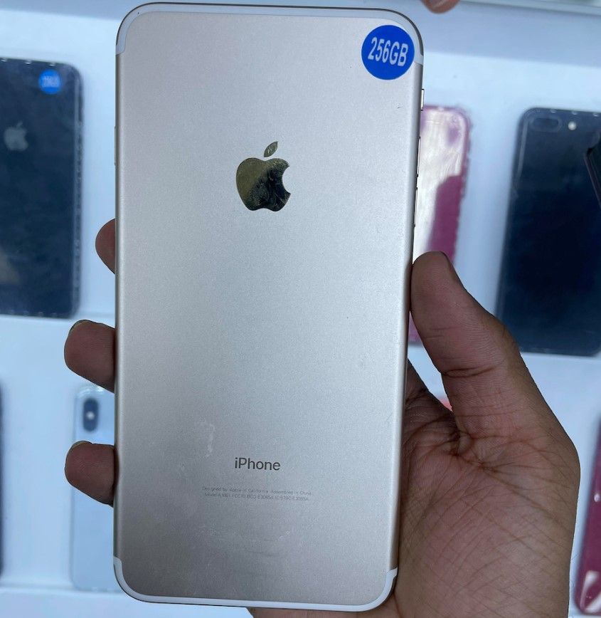 У мережі показали iPhone без камери: навіщо він потрібен 1