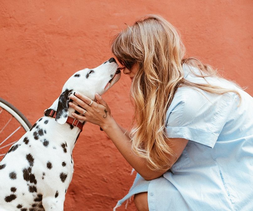 Зоопсихологи радять познайомитися з твариною з його погляду, а не підкоряти своїй. Зоопсихологи радять познайомитися з твариною з його погляду, а не підкоряти своїй.