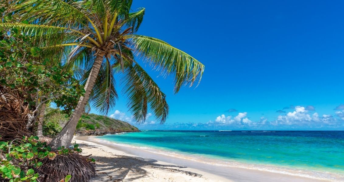 Мета цього дня полягає у зверненні уваги на проблеми, пов’язані із тропіками, які потребують якомога швидшого вирішення Мета цього дня полягає у зверненні уваги на проблеми, пов’язані із тропіками, які потребують якомога швидшого вирішення