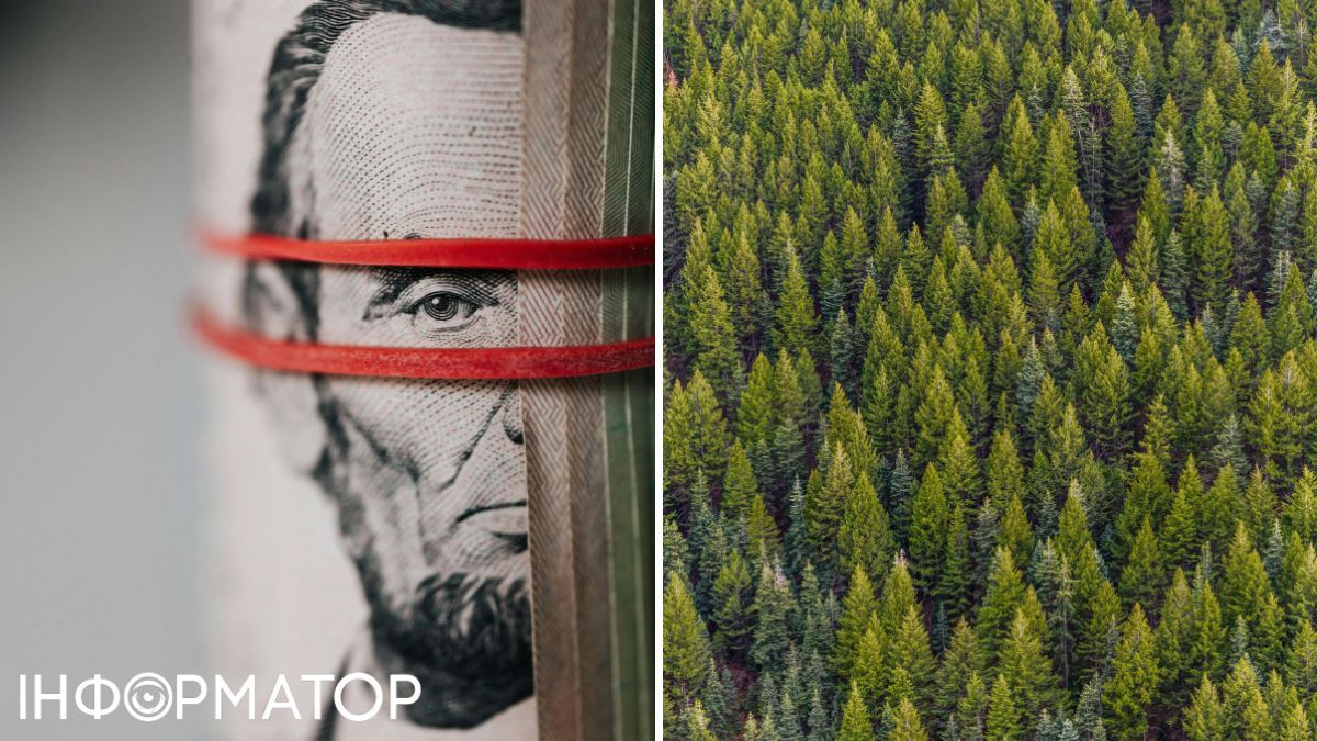 Екологи планують озеленювати планету з податку на відрижку. Екологи планують озеленювати планету з податку на відрижку.