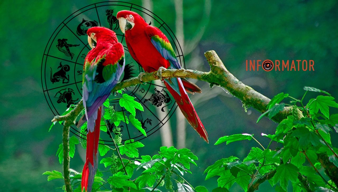Гороскоп на 29 июня 2024 года.
