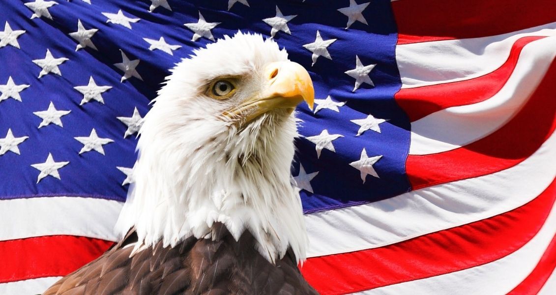 Сегодня американцы празднуют этот день парадами, фейерверками, пикниками и барбекю, что делает его одним из самых праздничных событий в стране