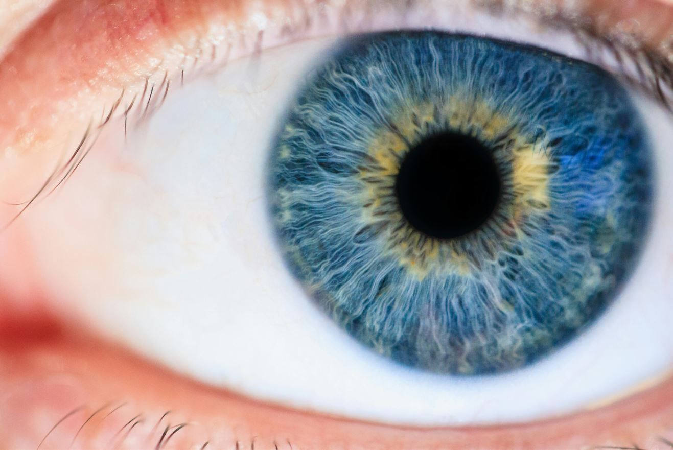 Голубые глаза – это иллюзия!