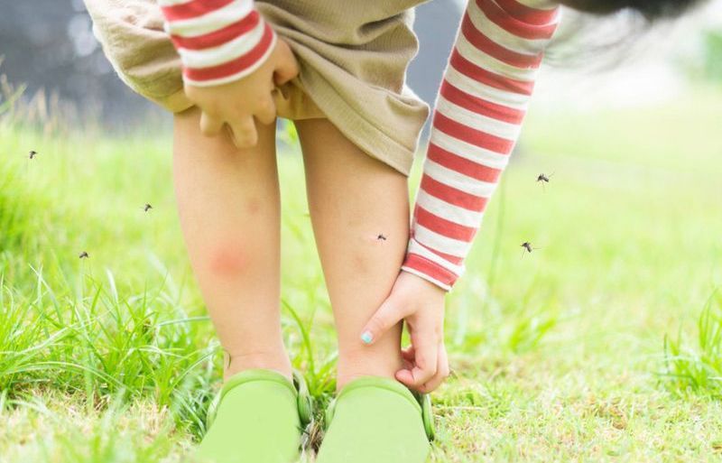 Любые активности могут привлечь комаров, поскольку человек интенсивнее потеет и дышит. Любые активности могут привлечь комаров, поскольку человек интенсивнее потеет и дышит.