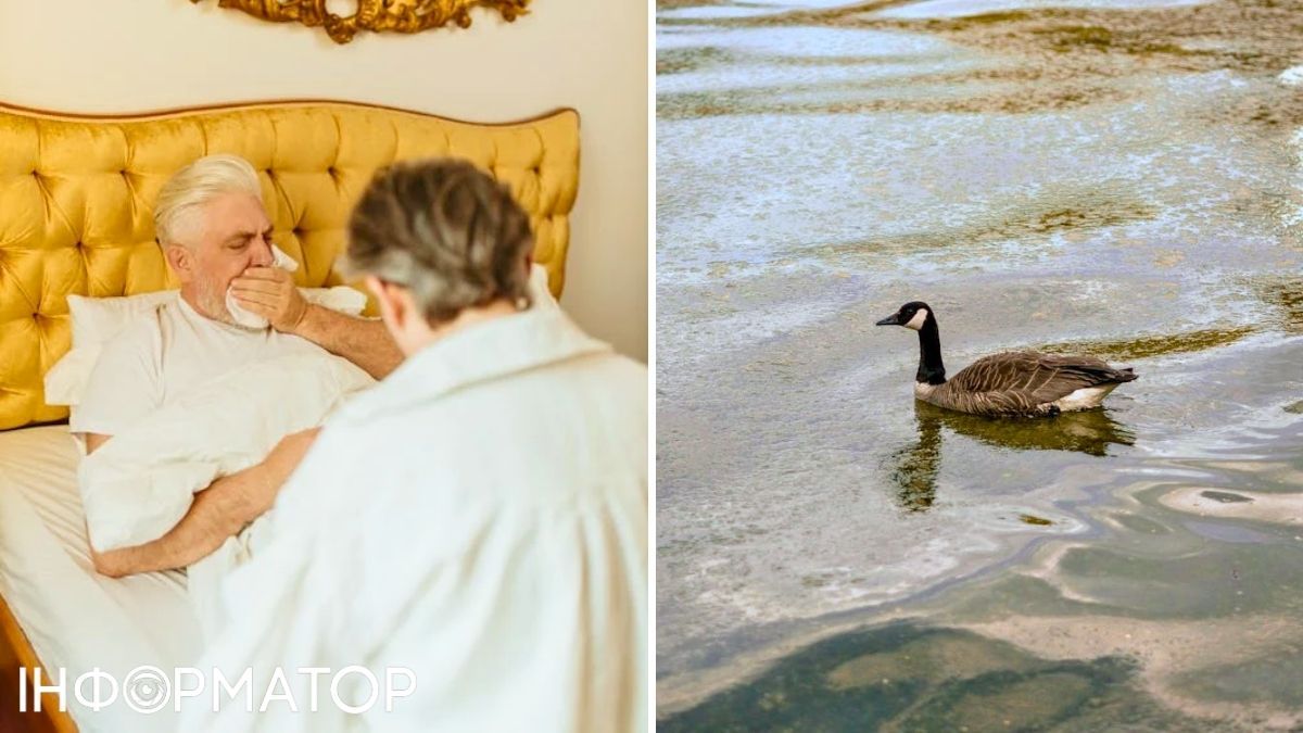 Чоловік та качка