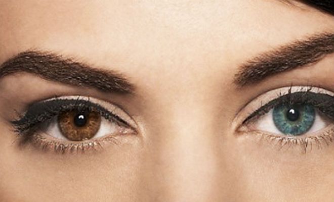 Пігмент у нас один – коричневий, а блакитний – це оптичний обман зору. Пігмент у нас один – коричневий, а блакитний – це оптичний обман зору.