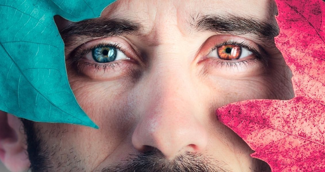 Патологія існує лише у 1% населення Землі, жінок з різнокольоровими очима більше від чоловіків