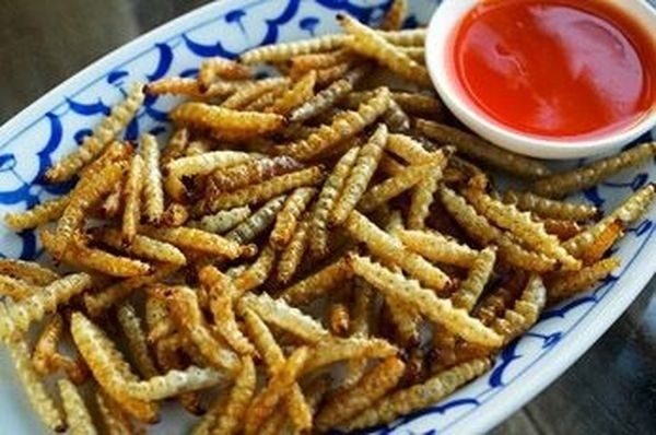 Смажених бамбукових черв'яків готують у Таїланді та Китаї. Смажених бамбукових черв'яків готують у Таїланді та Китаї.