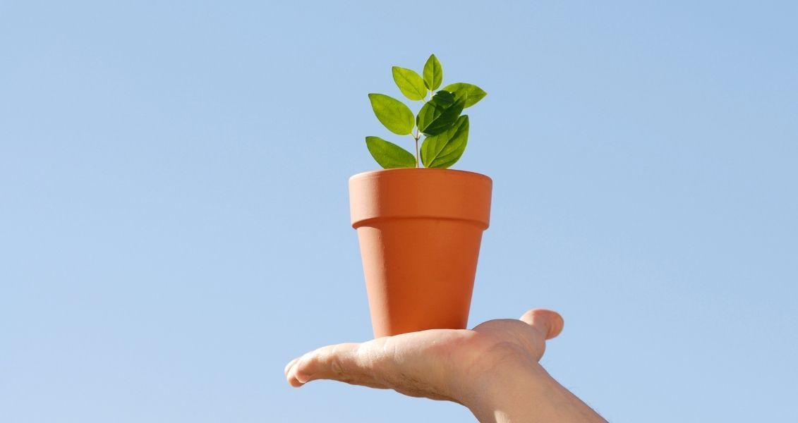 Метою такої події є залучення людей до зближення зі своїми кімнатними рослинами, адже вчені повідомляють, що прогулянки, розмови та музика позитивно впливають на стан рослин Метою такої події є залучення людей до зближення зі своїми кімнатними рослинами, адже вчені повідомляють, що прогулянки, розмови та музика позитивно впливають на стан рослин