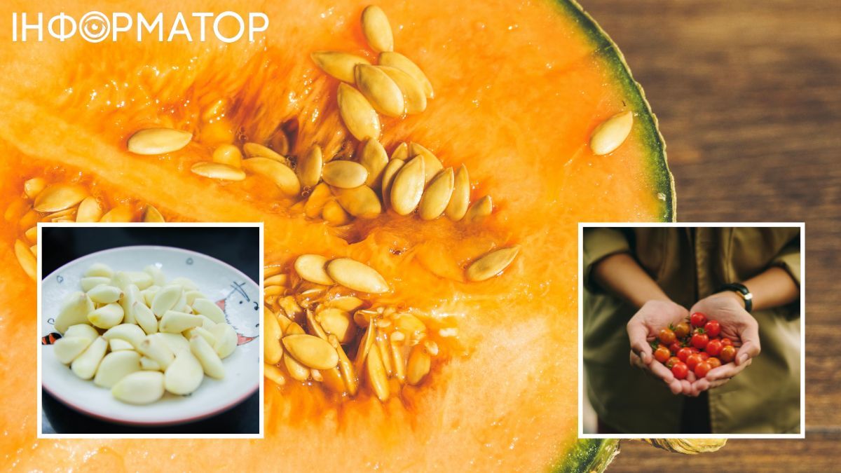 Дыня – это хороший перекус в жаркий летний день или после тренировки. Дыня – это хороший перекус в жаркий летний день или после тренировки.