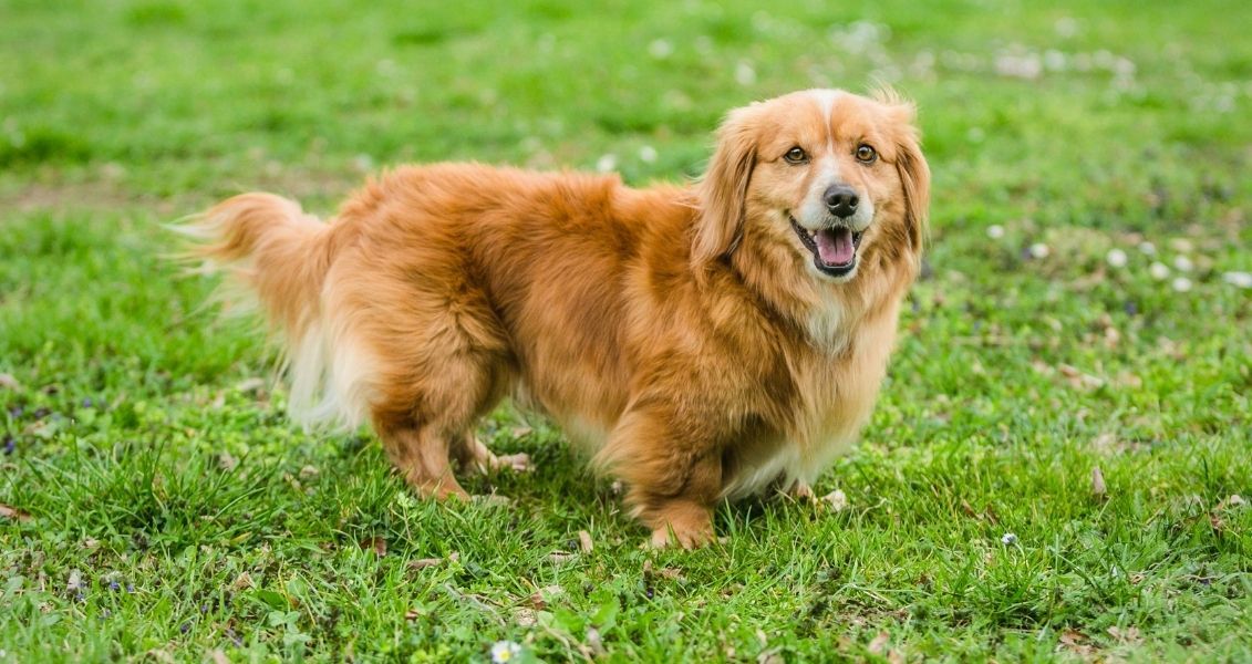 Это событие отмечается дважды в течение года, а также 2 декабря