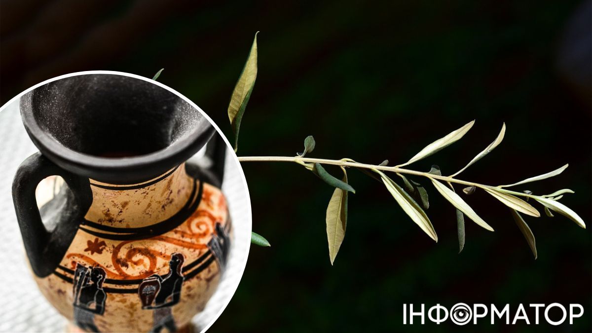 Оливкові дерева греки вважали священними , а олію - божим даром. Оливкові дерева греки вважали священними , а олію - божим даром.