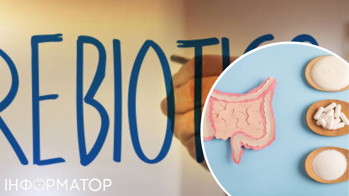 Некоторые эксперты настолько увлечены результатами, что называют кишечник "вторым мозгом" организма. 