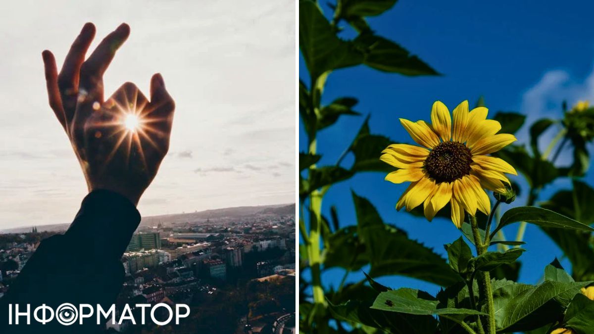 Солнце и подсолнечник