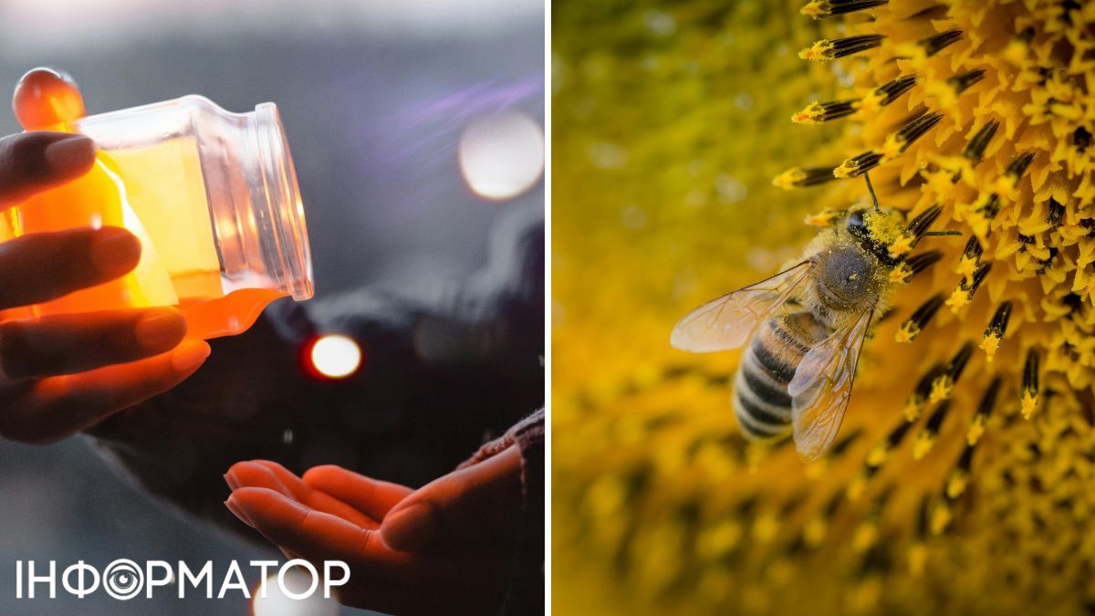 Какие ассоциации у вас вызывает слово "мед", – у нас исключительно теплые! Какие ассоциации у вас вызывает слово "мед", – у нас исключительно теплые!