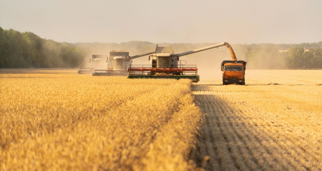 День працівників сільського господарства - це можливість висловити вдячність людям, які роблять наше харчування можливим