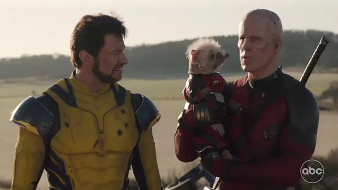 Пегги появилась, в частности, на премьере фильма в Нью-Йорке в конце июля Пегги появилась, в частности, на премьере фильма в Нью-Йорке в конце июля