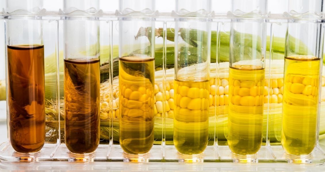 Екологи закликають людей проявляти свідомість, переходити на виробництво та використання екологічного палива