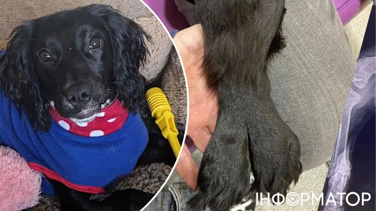 Інколи природа відверто чудить!