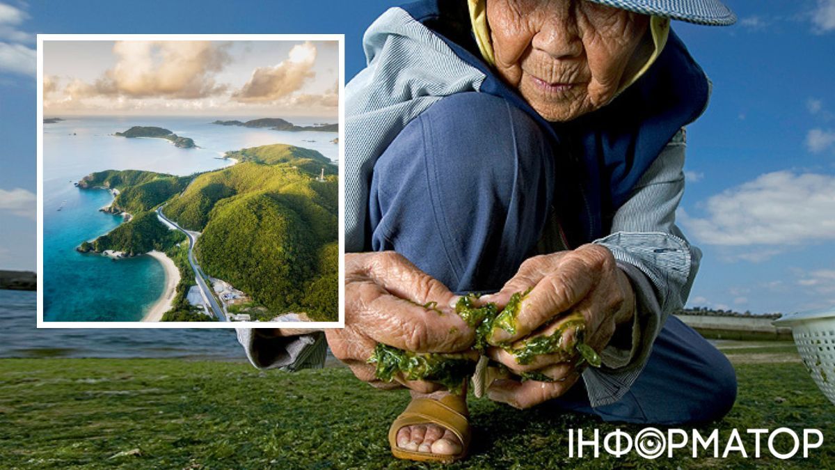 На долголетие влияет климат, кухня и сон. На долголетие влияет климат, кухня и сон.