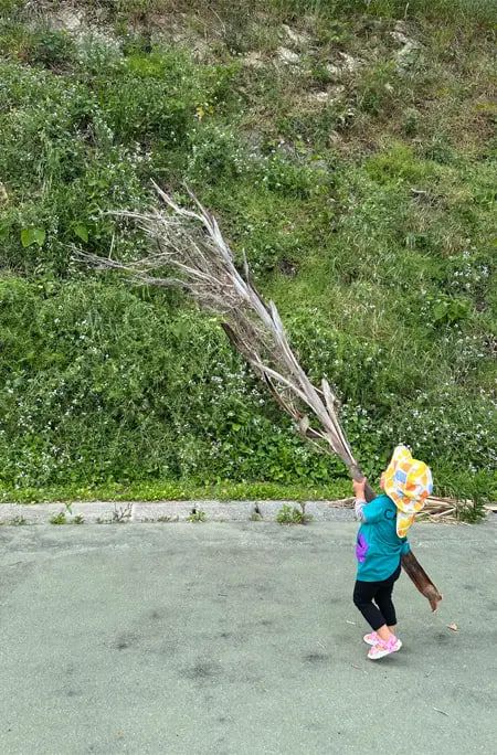 Колисковою для неї служили звуки хвиль, комах та птахів Колисковою для неї служили звуки хвиль, комах та птахів