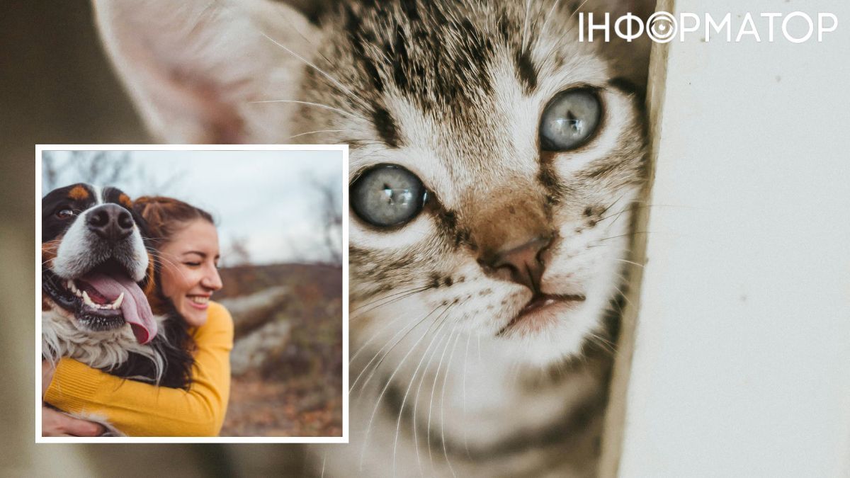 Найкраща тварина - ваша тварина! Найкраща тварина - ваша тварина!