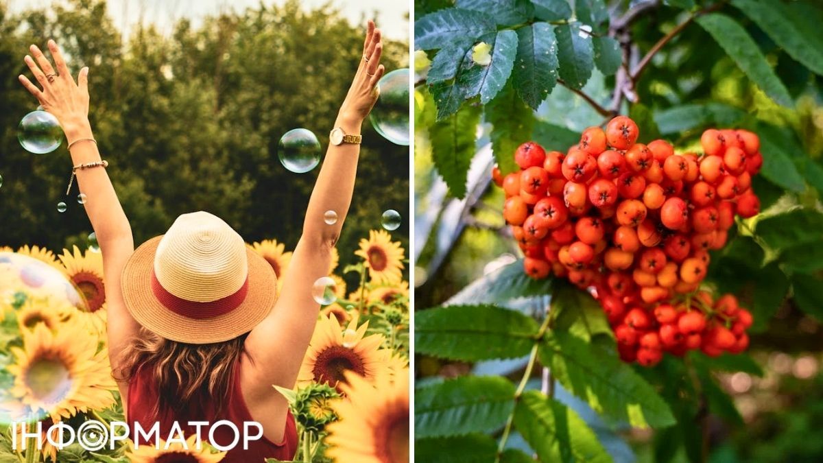 Девушка и рябина