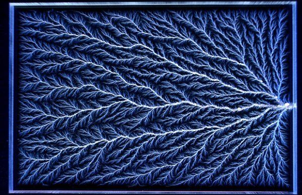 Такі ж візерунки залишаються на тілі людини після удару блискавкою. Такі ж візерунки залишаються на тілі людини після удару блискавкою.