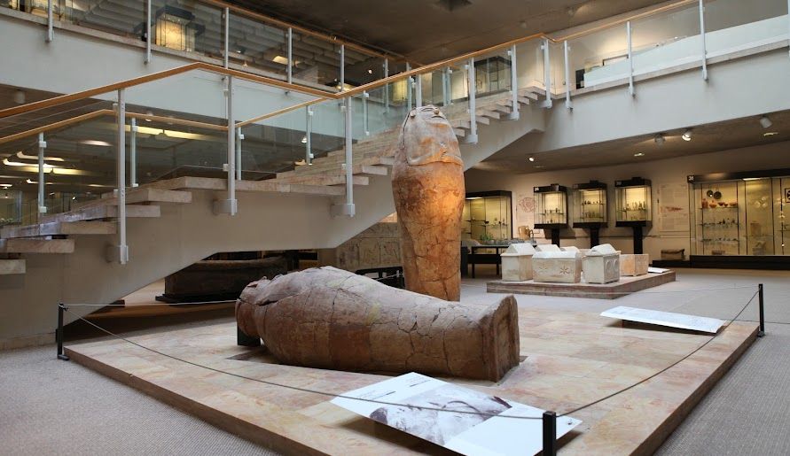 Музей Хехта знаходиться на території Хайфського університету на півночі Ізраїлю та збирає предмети археології та мистецтва.