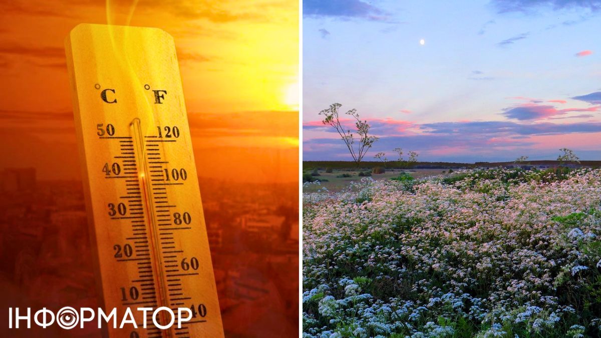 Жара и цветы