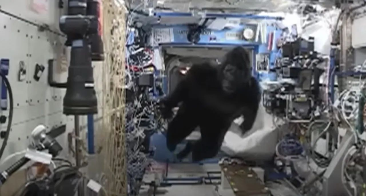 Астронавти люблять пожартувати.