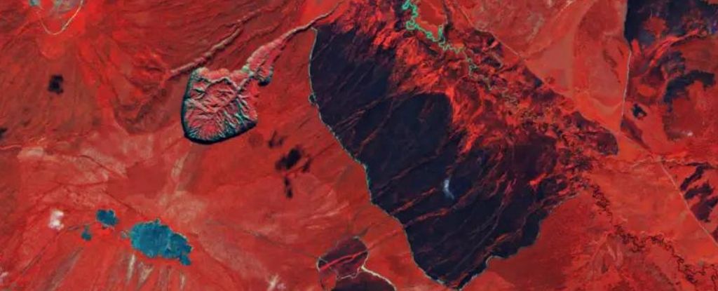 Это форма ската, мечехвоста или гигантского головастика Это форма ската, мечехвоста или гигантского головастика