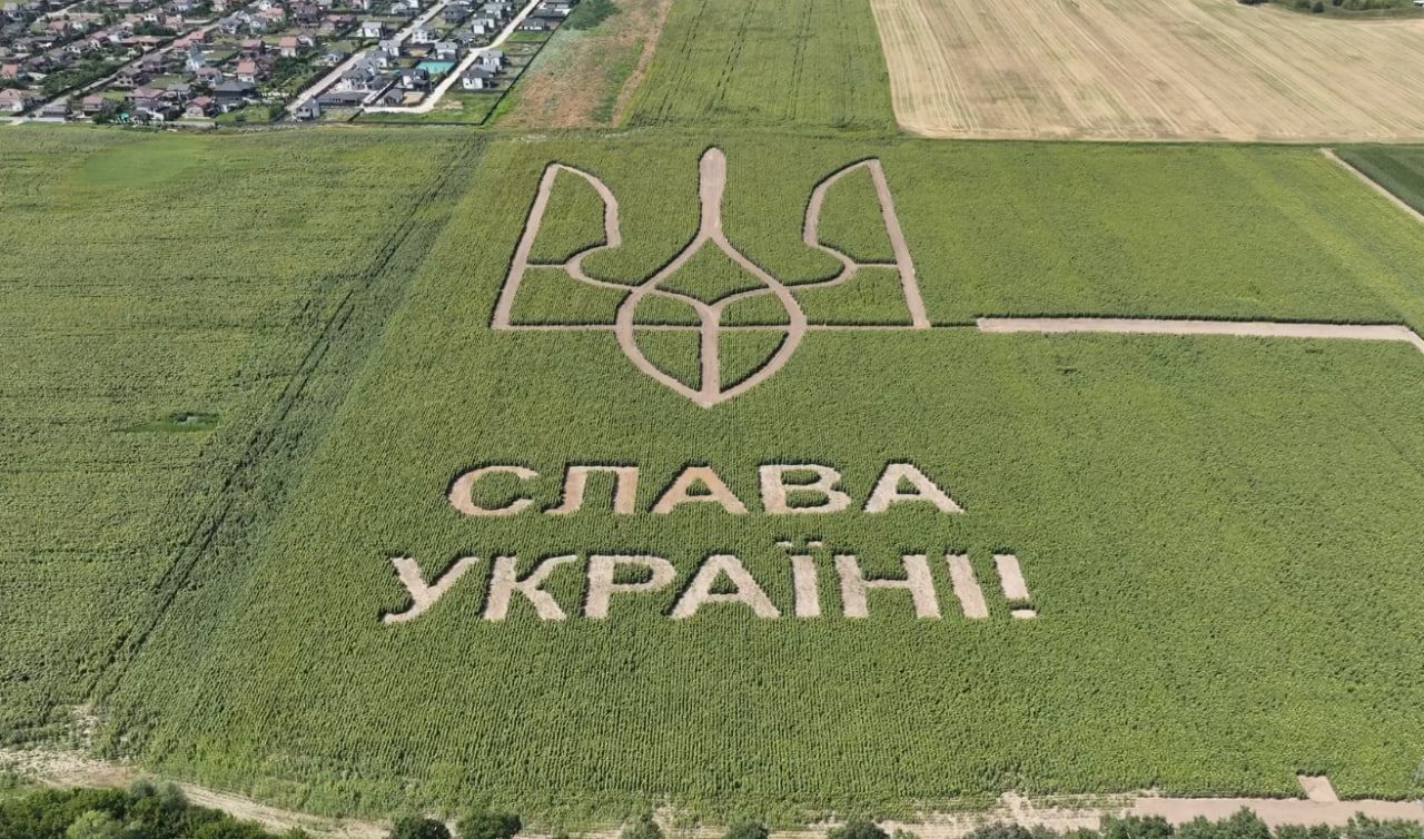 Директор компании Ярослав Бойко обещает в следующем году создать в поле аграрных инноваций с помощью точного земледелия еще один шедевр